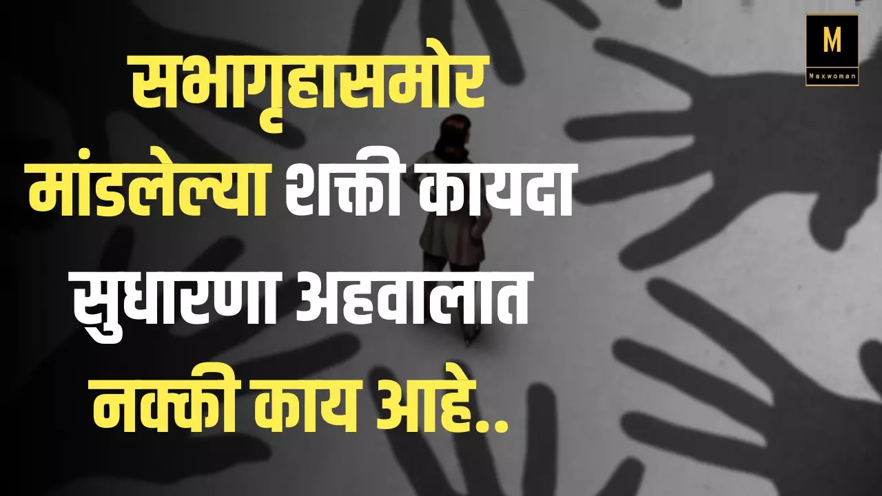 सभागृहासमोर मांडलेल्या शक्ती कायदा सुधारणा अहवालत नक्की काय आहे..