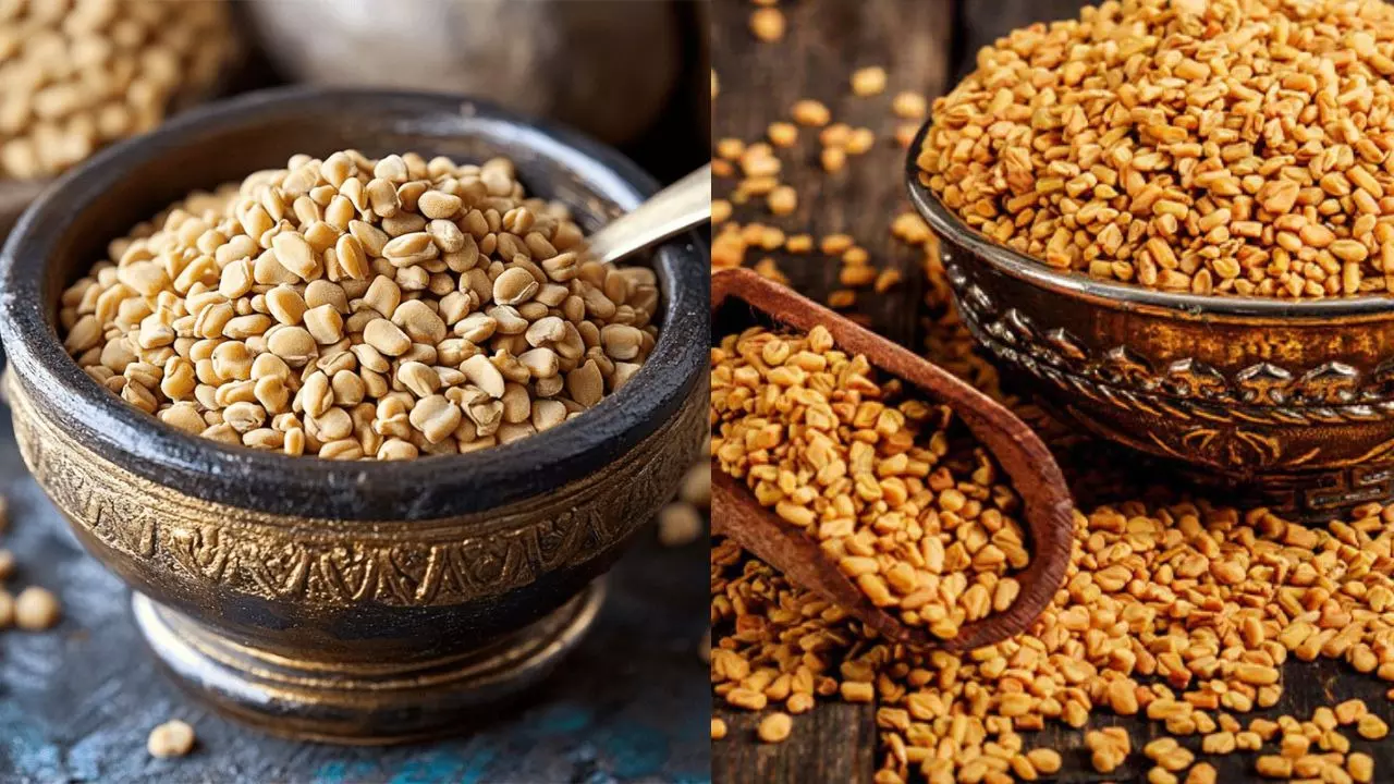 Fenugreek seeds Benefits : मेथी दाणे खाण्याचे चमत्कारिक फायदे